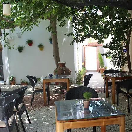 4 Element * Siğacık